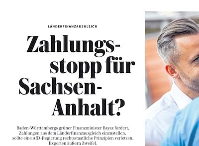 Danyal Bayaz und die zwei Gesichter der grünen Regierung in Baden-Württemberg